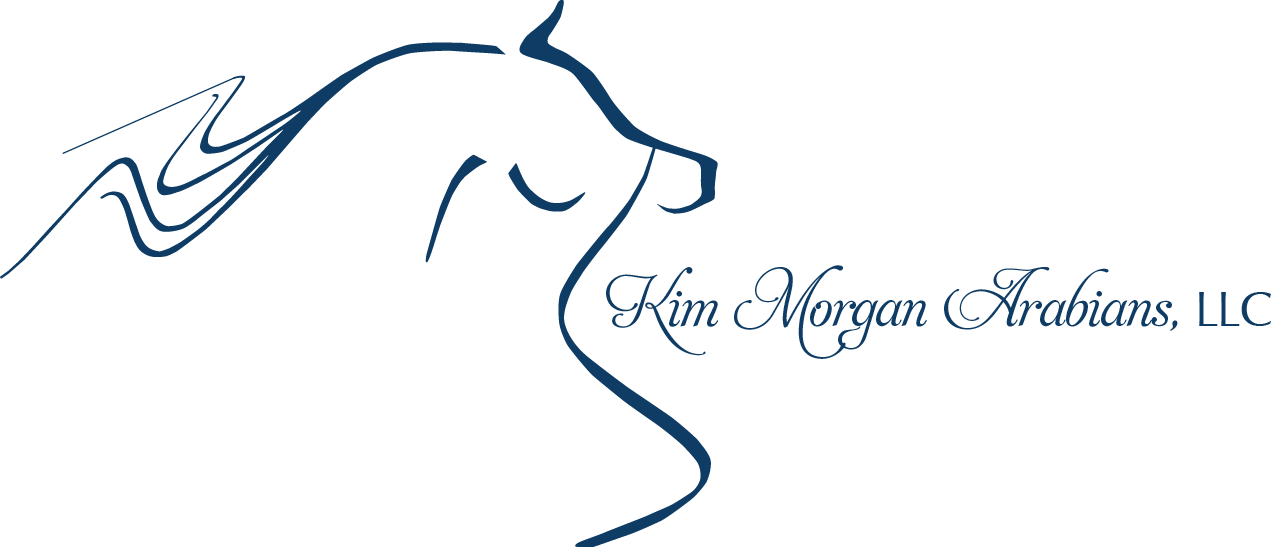 Kim Morgan Arabians, LLC.